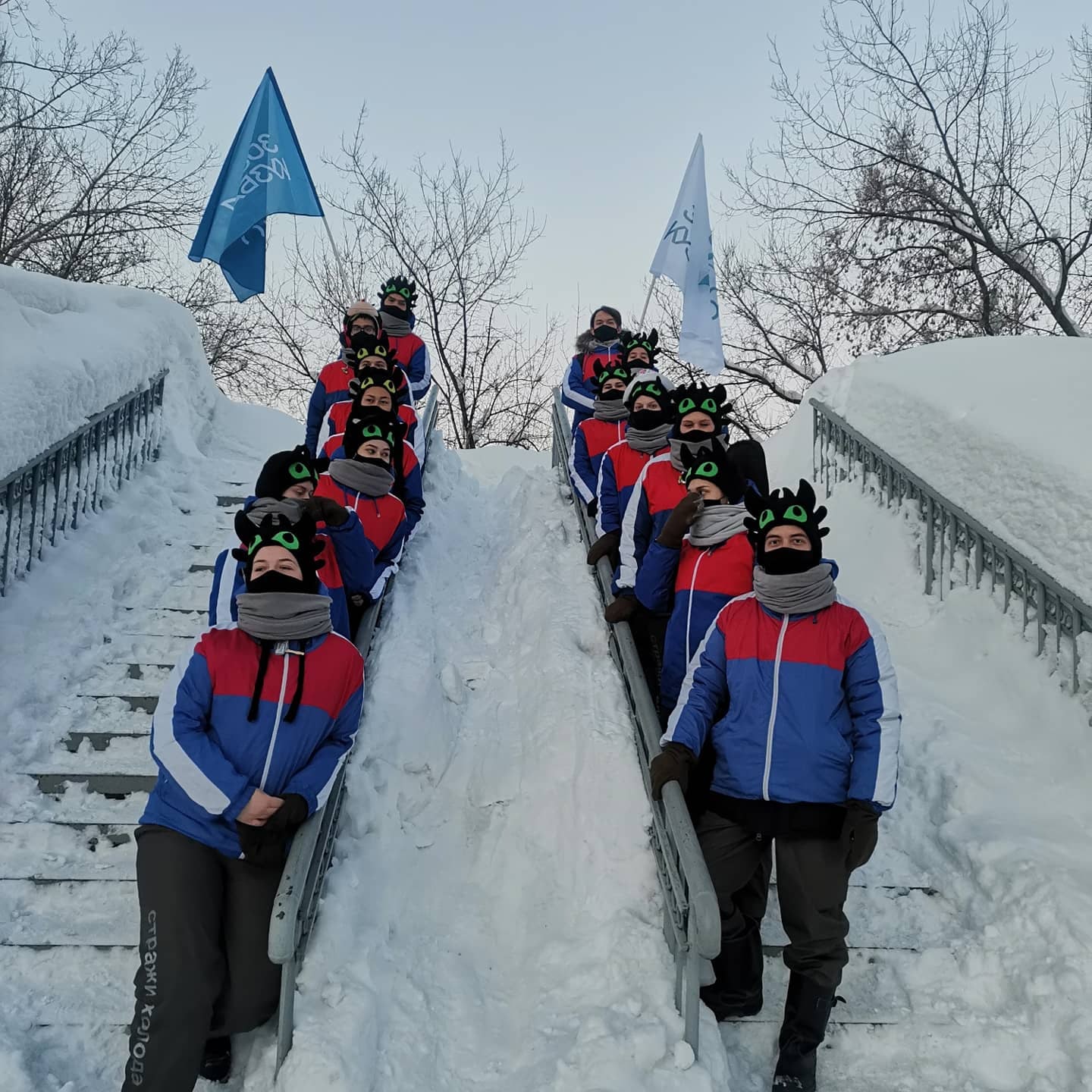 Снежный десант