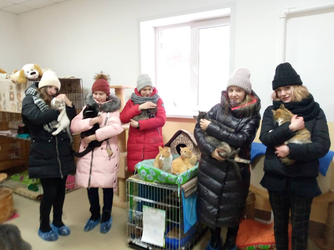Миска добра