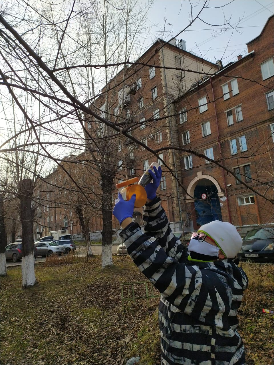 Кормушка