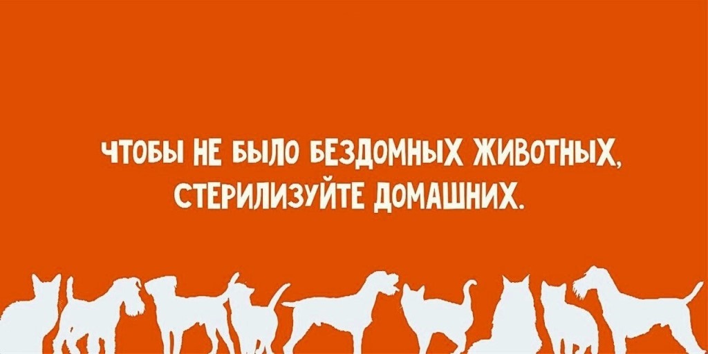 Шанс на жизнь