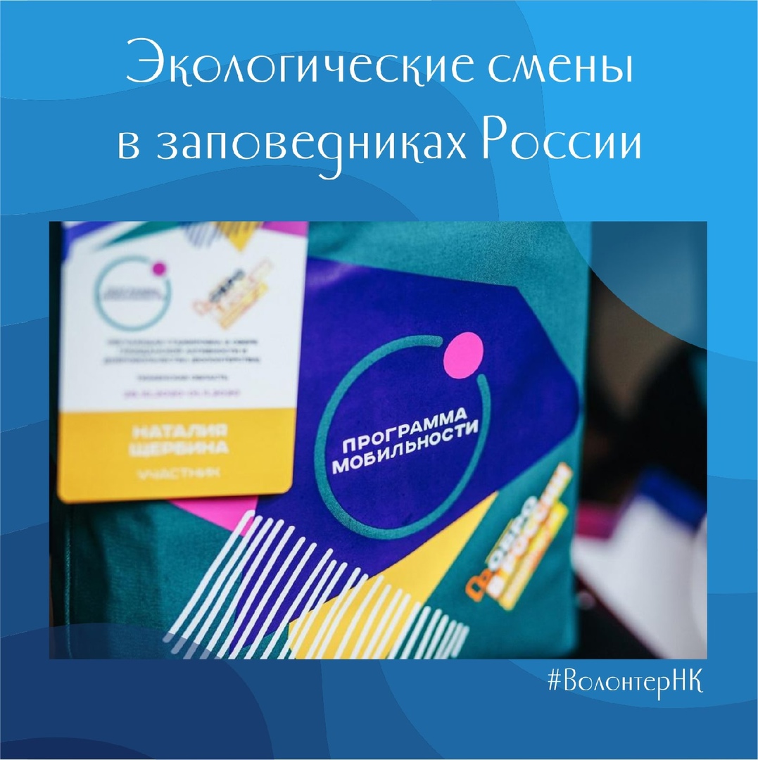 Волонтеры